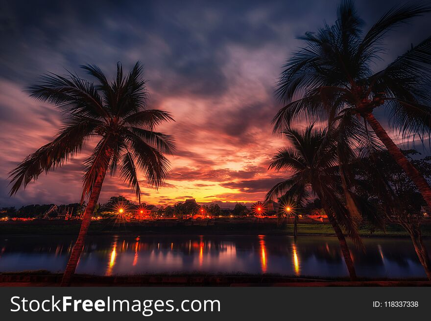 Silhouette Coconut Palm Trees Near The River At Sunset. Vintage