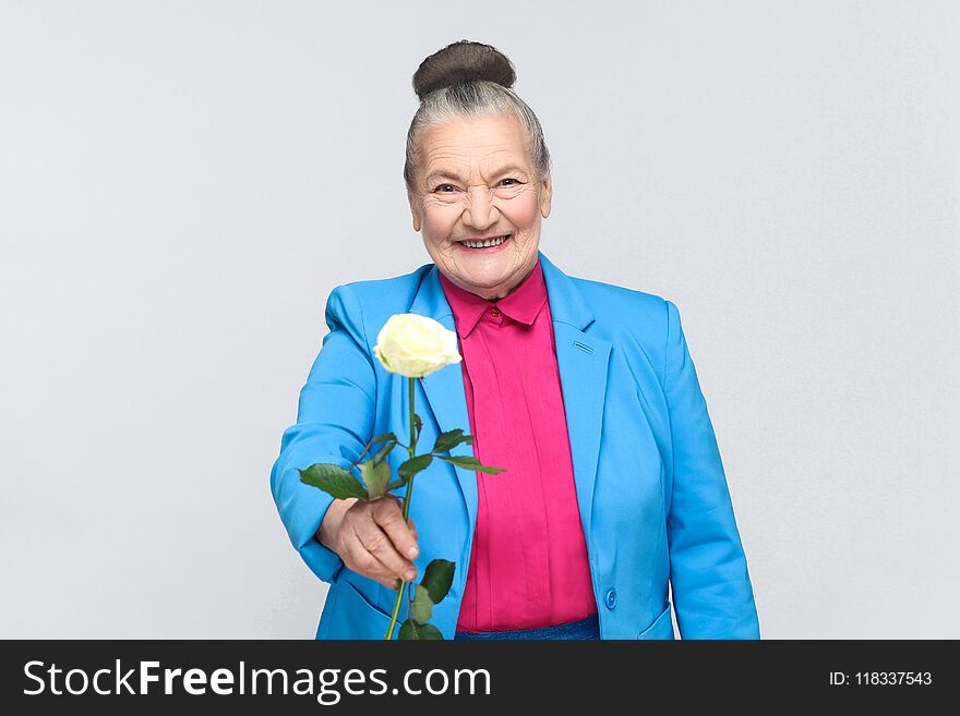 Happiness old woman present for you white rose. handsome expressive grandmother with light blue suit and pink shirt standing with collected bun gray hair. Studio shot, isolated on gray background. Happiness old woman present for you white rose. handsome expressive grandmother with light blue suit and pink shirt standing with collected bun gray hair. Studio shot, isolated on gray background