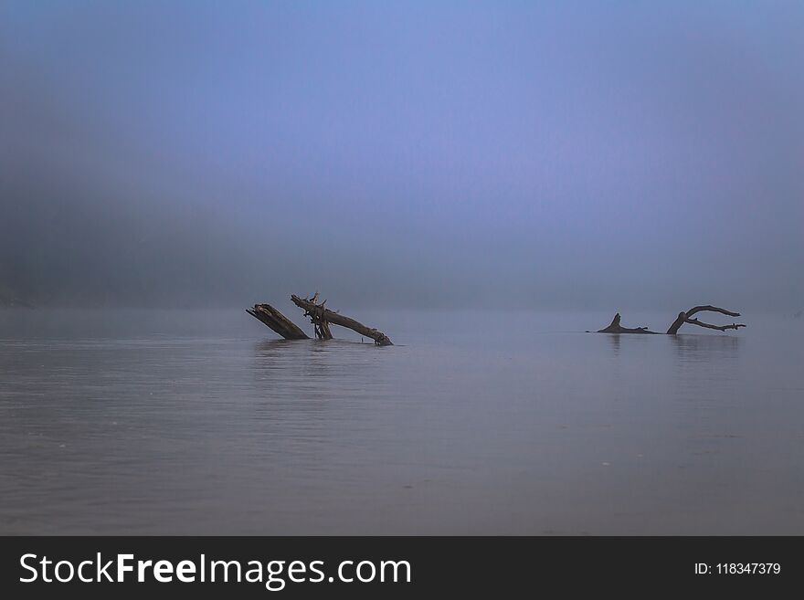 Manu National Park, Peru - August 07, 2017: Some dead branches among the fog in the Madre dde Dios river in Manu National Park, Peru. Manu National Park, Peru - August 07, 2017: Some dead branches among the fog in the Madre dde Dios river in Manu National Park, Peru