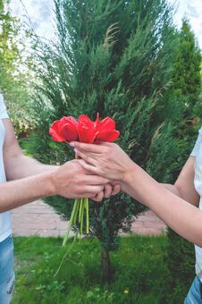 Loving Couple Holding A Bouquet Of Tulips On A Background Of Beautiful Trees. A Man Gives His Beloved Flowers. The Royalty Free Stock Photography Loving Couple Holding A Bouquet Of Tulips On A Background Of Beautiful Trees. A Man Gives His Beloved Flowers. The Royalty Free Stock Photography