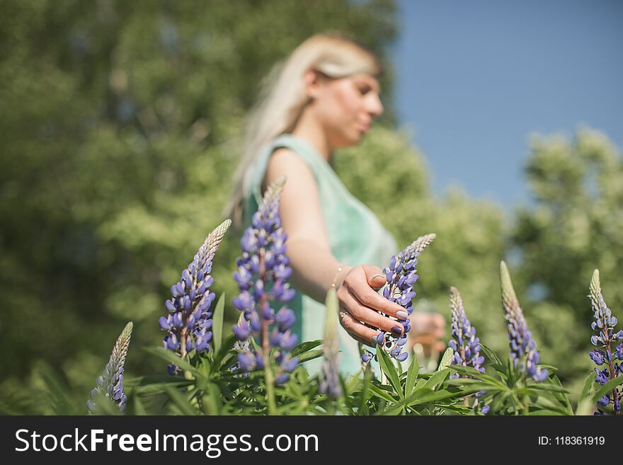 The girl is standing in the field of lupines