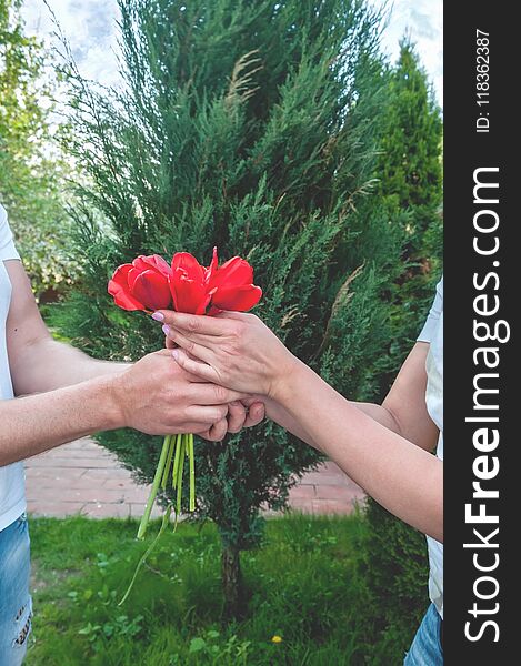 Loving couple holding a bouquet of tulips on a background of beautiful trees. A man gives his beloved flowers. The