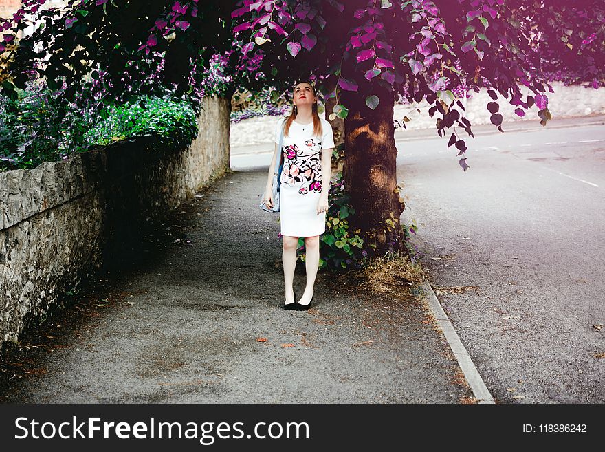 Photography of a Woman Standing Under The Tree