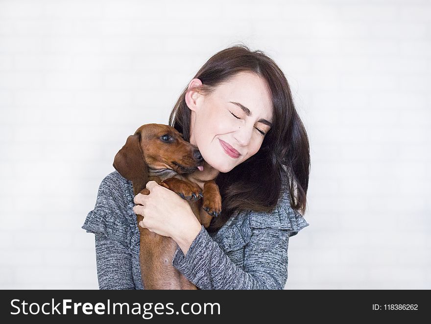 Woman In Grey Top Hugging Brown Dachshund