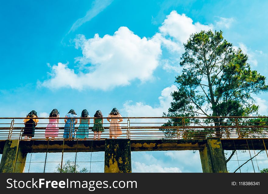 Six Girl Standing on Suspension Bridge