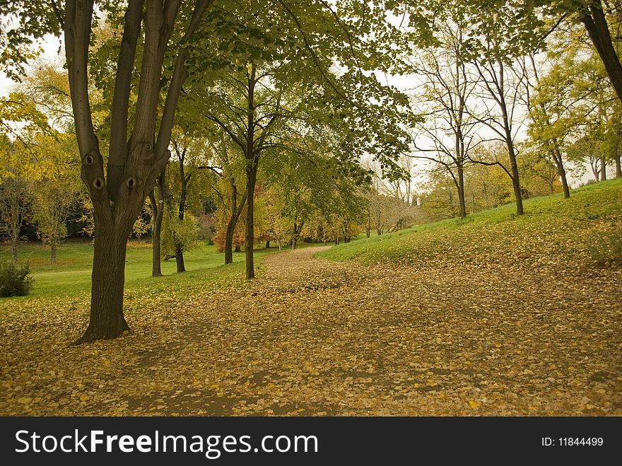 Footpath in the park during autumn season. Footpath in the park during autumn season