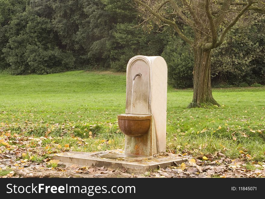 Water fountain in a park during autumn season