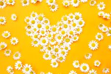 Daisies In A Heart Shape On Yellow Background Stock Photos