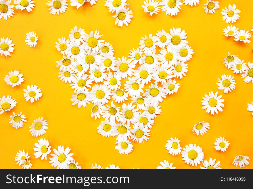 White daisies in a heart shape on yellow background