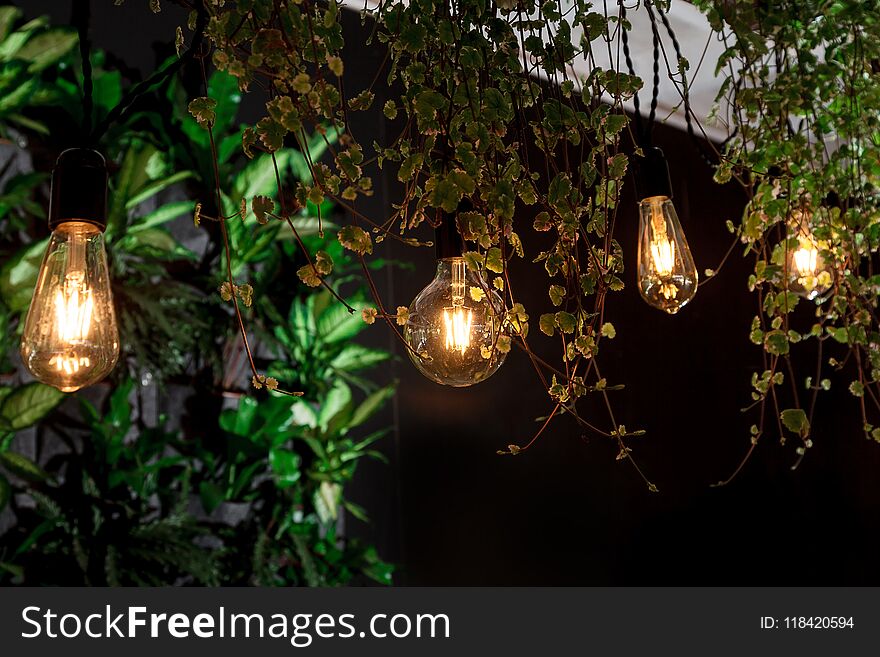 Light bulb leaves cafe interior retro garland colored black background new design green lantern fresh modern style