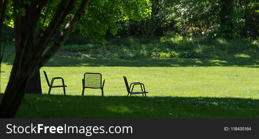 Green, Nature, Grass, Lawn