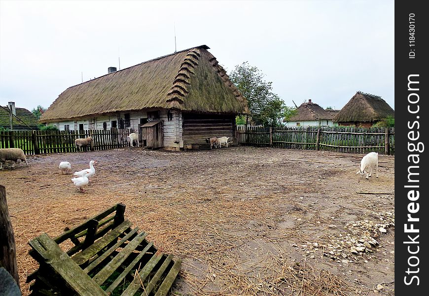 Property, Rural Area, Village, Thatching