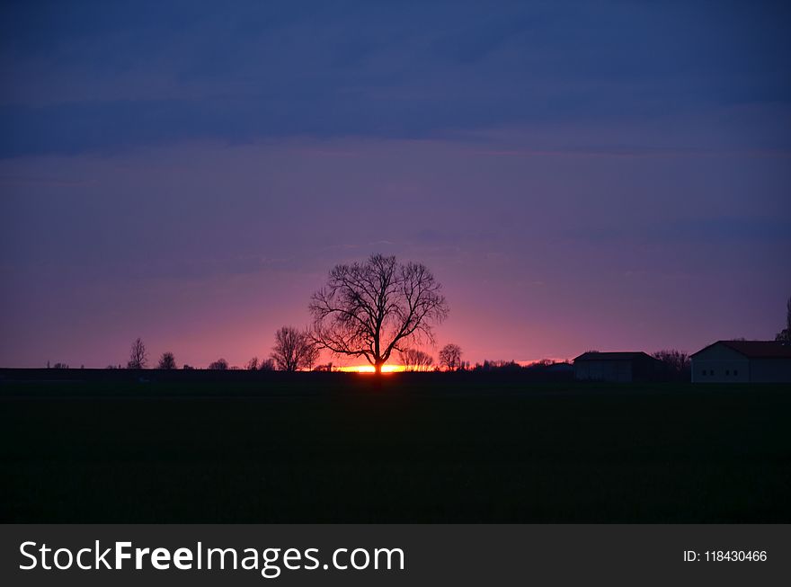 Sky, Horizon, Dawn, Afterglow