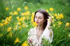 Attractive Woman In Yellow Flowers Day-lily Field Stock Photography Attractive Woman In Yellow Flowers Day-lily Field Stock Photography