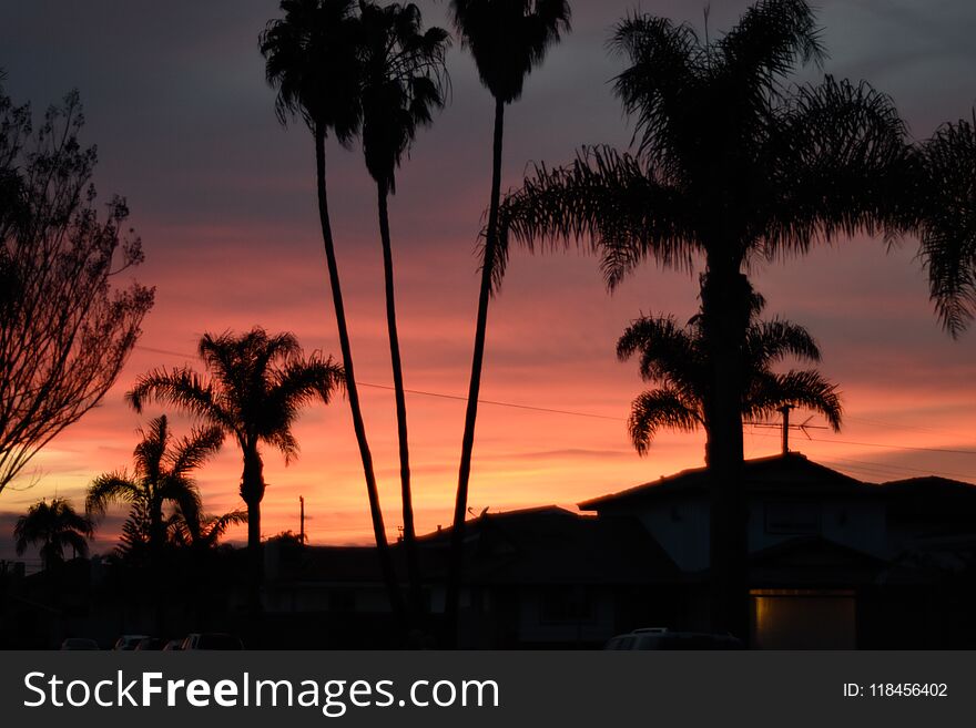 Night Photo of setting sun with swaying palm trees in light breeze. Night Photo of setting sun with swaying palm trees in light breeze