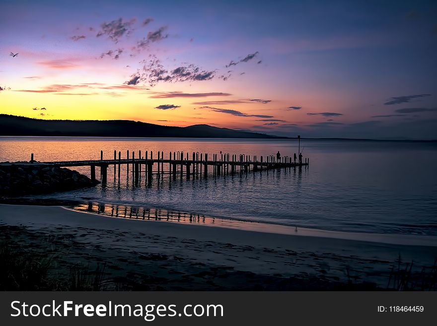 Silhouette of Seadock on Body of Water during Sunset