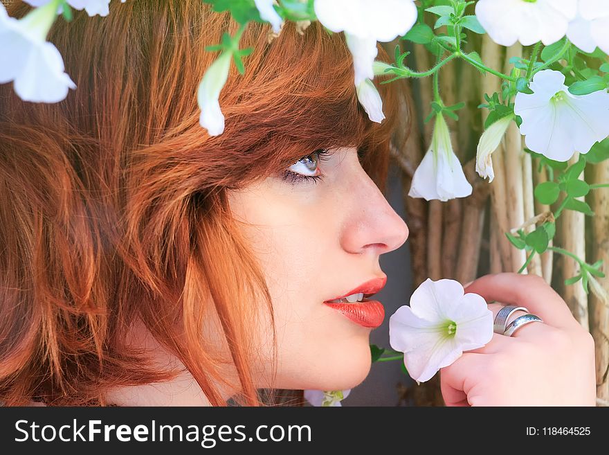 Close-up Photo Of Woman Holding White Petaled Flower