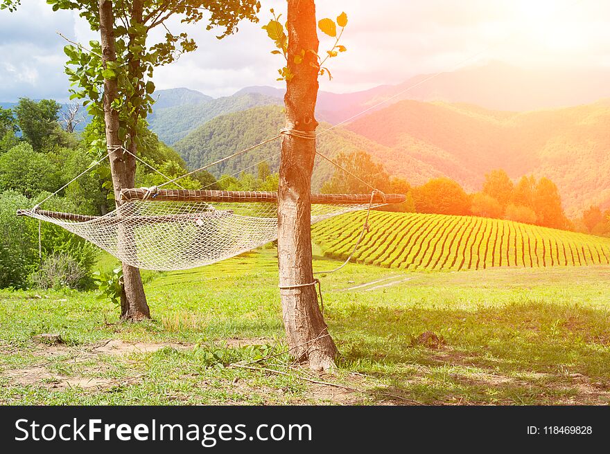 Hammock mesh hangs on the background of a high-mountain tea plantation. Concept of rest and meditation. Hammock mesh hangs on the background of a high-mountain tea plantation. Concept of rest and meditation