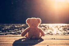 Teddy Bear The Toy Royalty Free Stock Images
