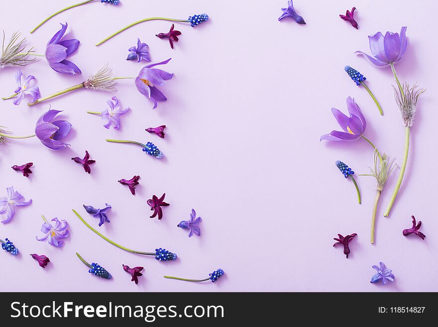 The spring flowers on paper background