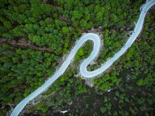 Curved Road Trough Forest , Birds Eye Drone Aerial View Royalty Free Stock Image