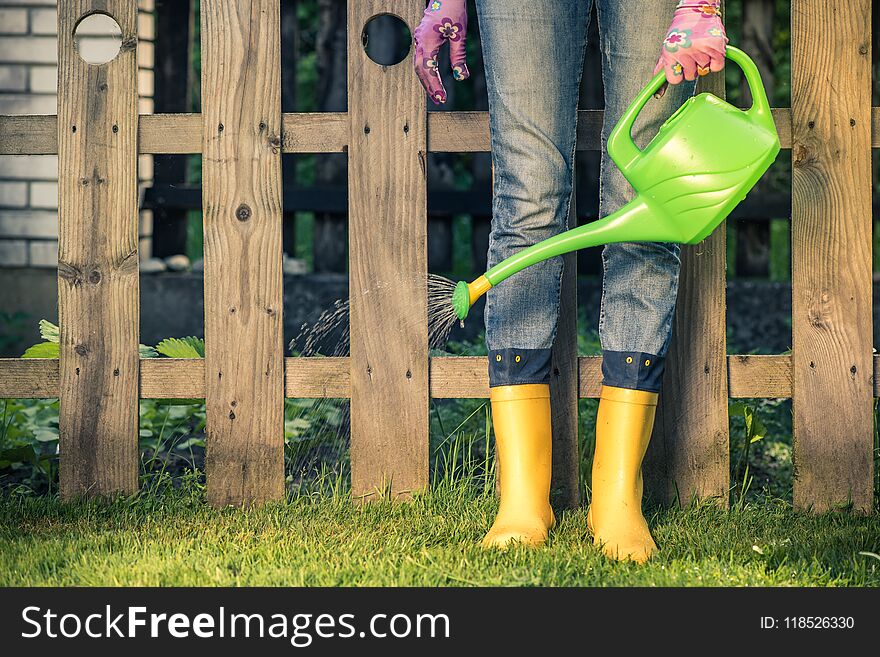 Watering Grass In Yellow Wellies, Spring Season