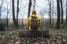 Man With Backpack In Wild Forest Stock Photos