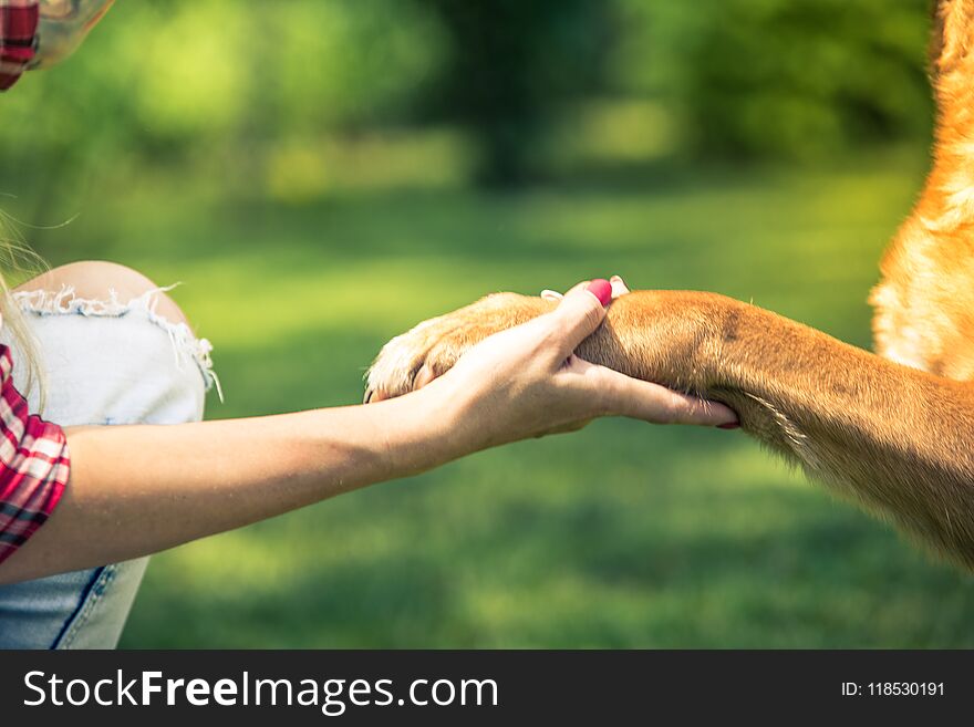 woman hold dog paw,friendship and love concept