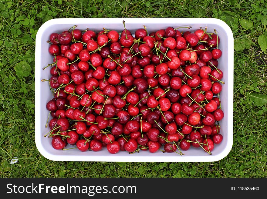 Cherry Merry Berry Closep