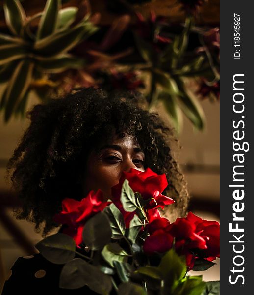 Woman Behind Red Flowers