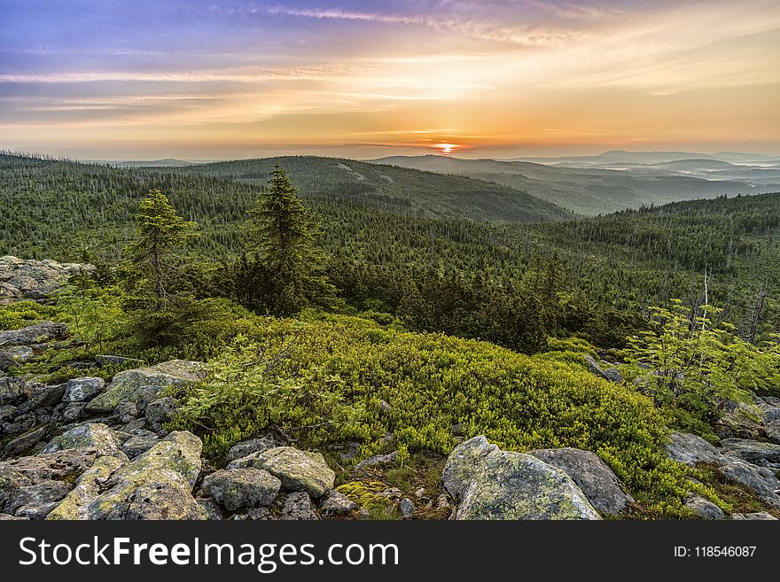 Clouds, Countryside, Forest