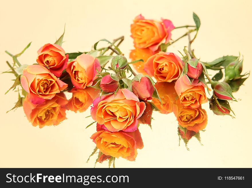 Flowers On A Gold Background