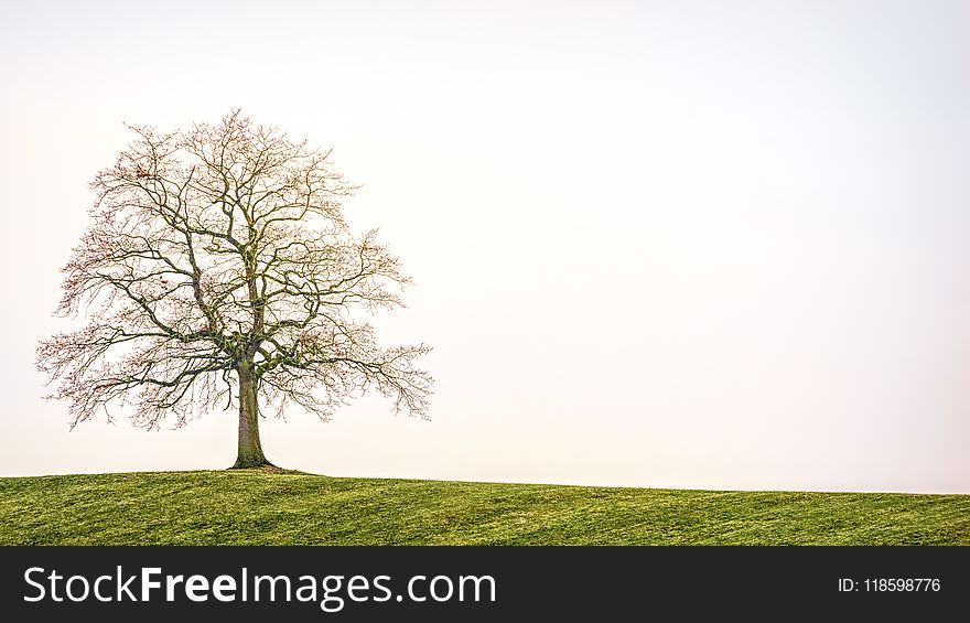 Countryside, Daylight, Environment