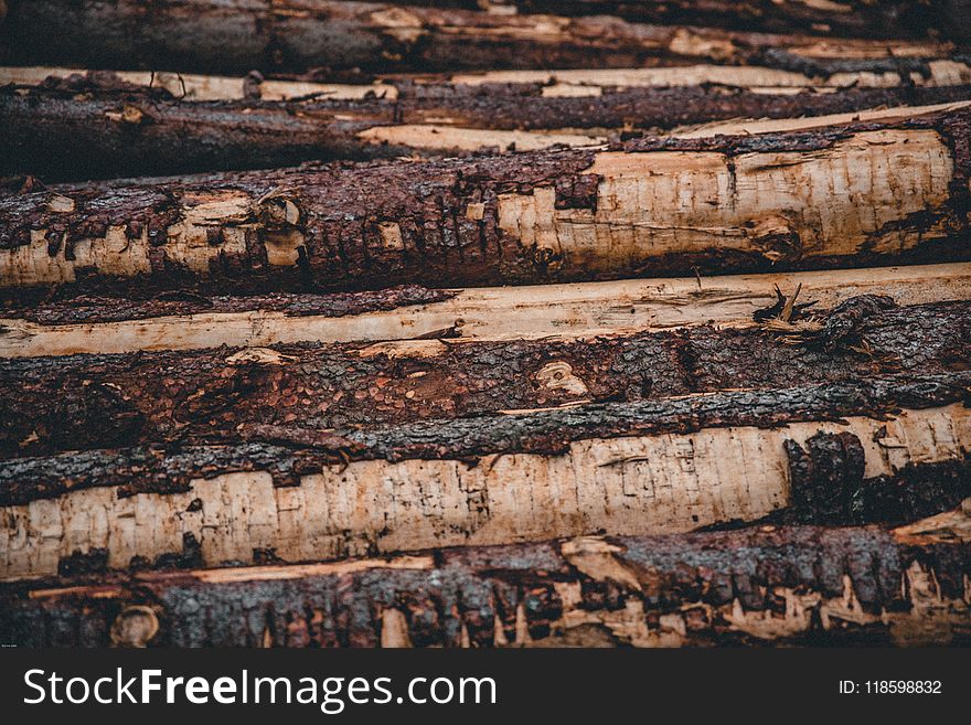 Close-up, Hardwood, Logs