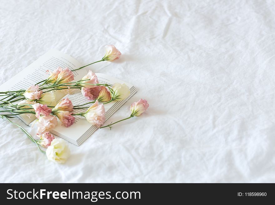 White and Pink Flowers Above Book