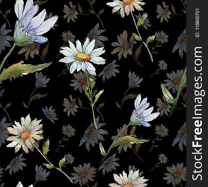 Wildflower daisy. Floral botanical flower.Seamless background pattern. Fabric wallpaper print texture. Aquarelle wildflower for background, texture, wrapper pattern, frame or border. Wildflower daisy. Floral botanical flower.Seamless background pattern. Fabric wallpaper print texture. Aquarelle wildflower for background, texture, wrapper pattern, frame or border.