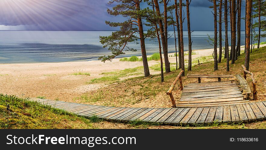 Evening On Sandy And Forest Beach Of Jurmala, Latvia