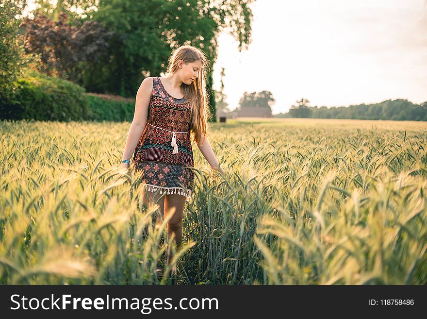 Agriculture, Blonde, Hair