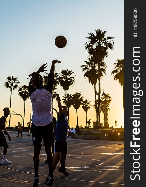 Action, Backlit, Ball