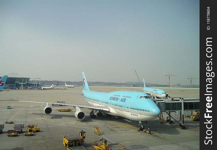 Airplane, Wide Body Aircraft, Airliner, Airline