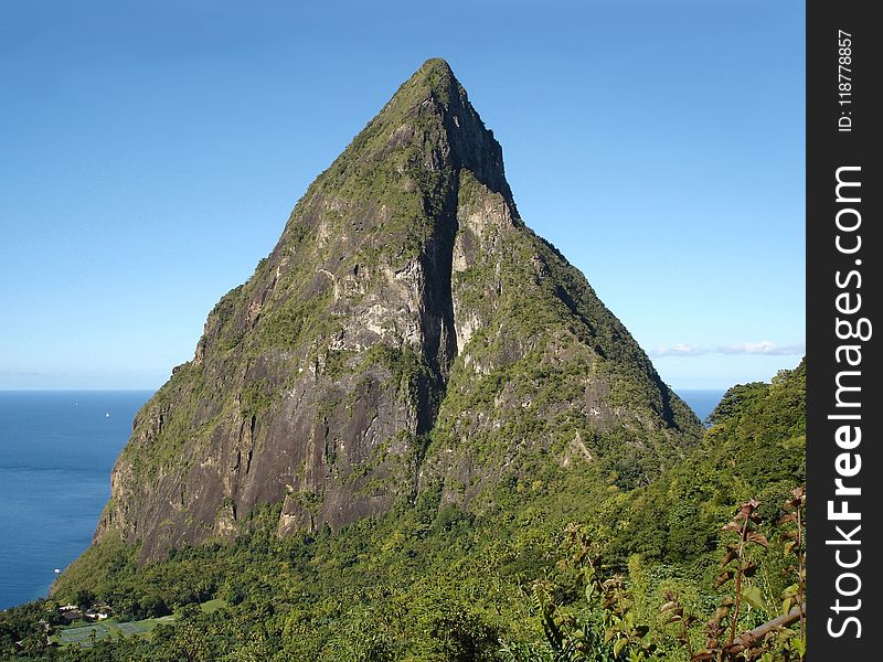 Vegetation, Mount Scenery, Nature Reserve, Promontory