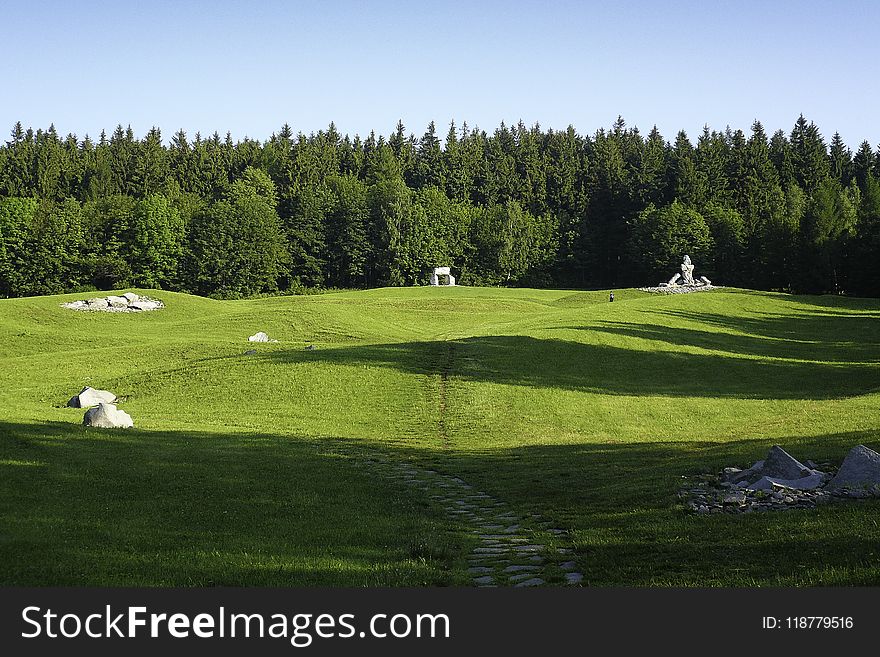 Grassland, Pasture, Lawn, Grass