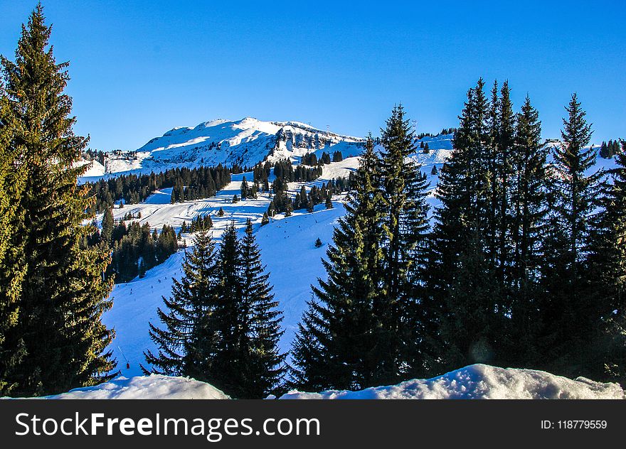 Winter, Snow, Nature, Wilderness