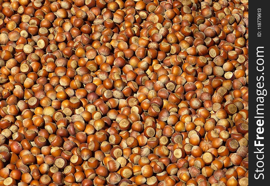 Hazelnut, Nuts & Seeds, Nut, Food