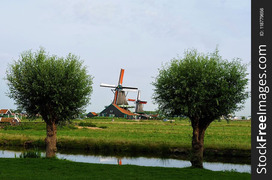 Windmill, Tree, Sky, Field