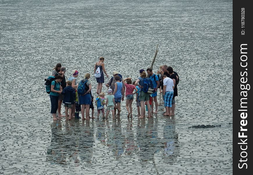 Water, Sea, Fun, Leisure