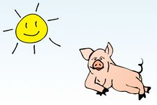 Swine Oink Stock Photo