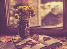 Rainy Mood For The Book Royalty Free Stock Photos Rainy Mood For The Book Royalty Free Stock Photos