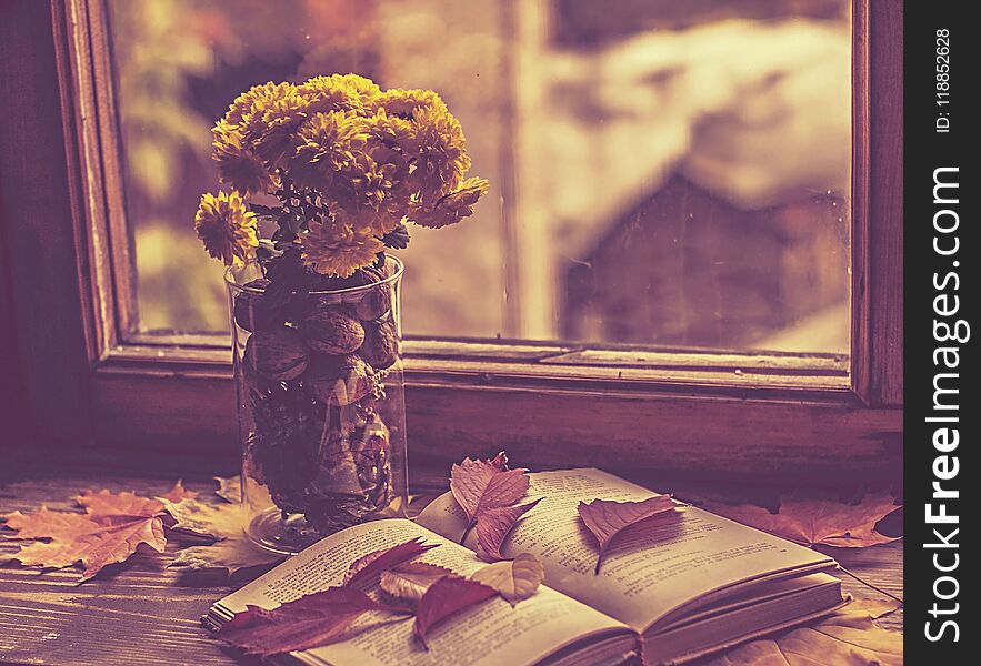 Near the rainy window with raindrops falling on the glass lie: autumn leaves vase with chrysanthemums,open book. Near the rainy window with raindrops falling on the glass lie: autumn leaves vase with chrysanthemums,open book