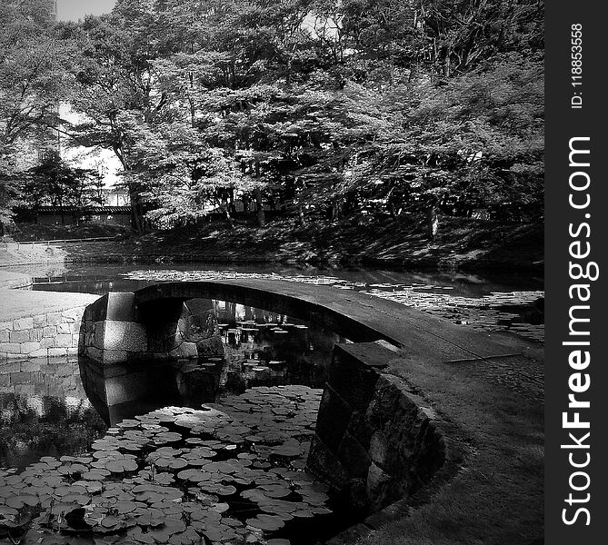 Japan Garden Tokyo Black & White peaceful moment